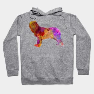 Napolitan Mastiff in watercolor Hoodie